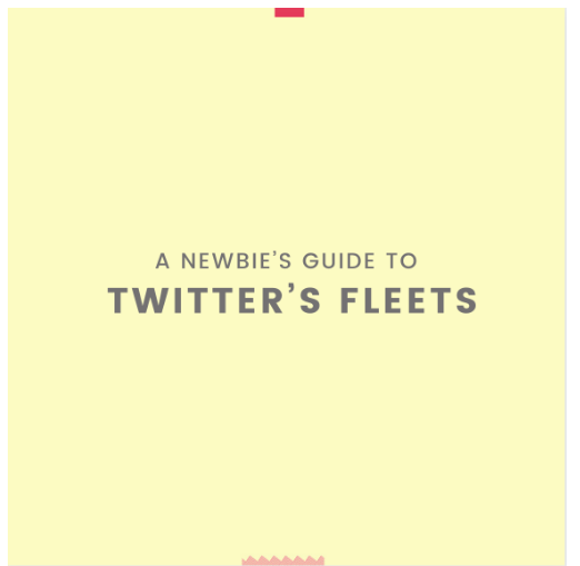 Newbie's Guide to Twitter Influencer Marketing